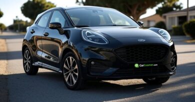 Ford Puma Problems What what to know Before Buying