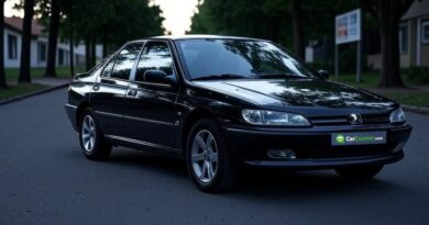 Peugeot 406 Problems Common Issues and Repair Costs