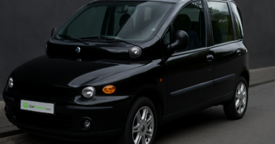 Fiat Multipla Problems Common Issues and Repair Costs