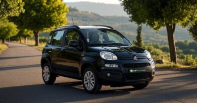 Fiat Panda Problems Common Issues and Repair Costs