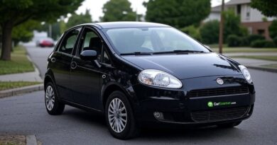 Fiat punto Problems Common Issues and Repair Costs