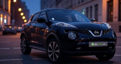 Nissan Juke Problems Common Issues and Repair Costs