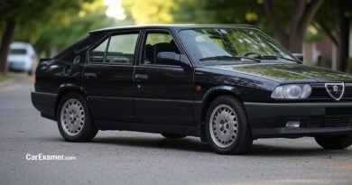 Alfa Romeo 33 Problems Common Issues and Repair Costs