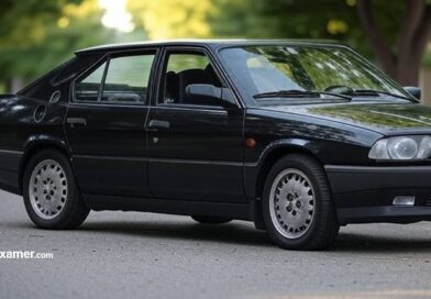 Alfa Romeo 33 Problems Common Issues and Repair Costs