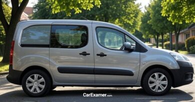 Citroën Berlingo Problems Common Issues and Repair Costs