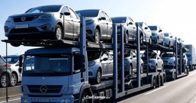 Fleet Expansion Options for Growing Transport Businesses