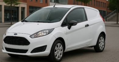 Ford Fiesta Van Problems Common Issues and Repair Costs