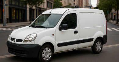 Nissan Kubistar Problems Common Issues and Repair Costs