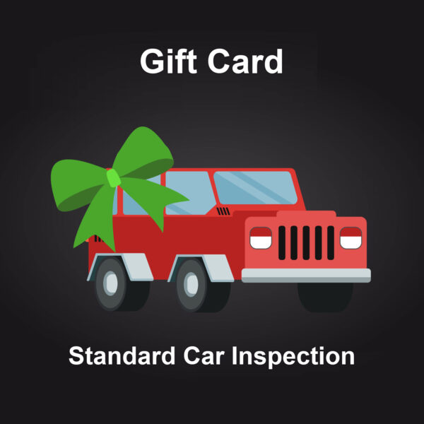 standard car inspection