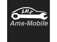 AMS Ltd logo